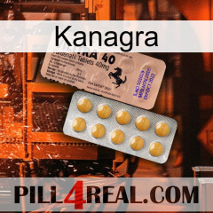 Kanagra 41